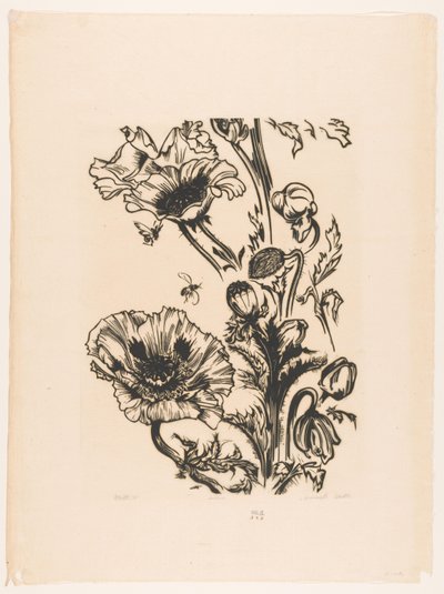 Studie papavers (eredeti cím a tárgyon) alkotó: Johannes Frederik Engelbert ten Klooster (signed by artist)