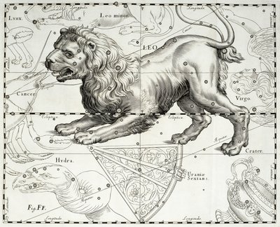 Oroszlán, Oroszlán csillagkép, az illusztráció Johann Hevelius (1611-1687) csillagatlaszából, Firmamentum Sobiescianum sive Uranographia, Gdansk alkotó: Johannes Hevelius