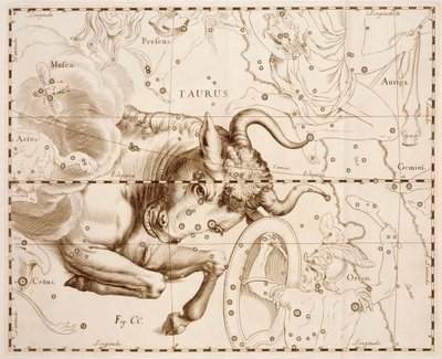 Taurus (állatövi jegy), metszet a Firmamentum Sobiescianum sive Uranographia, Teljes csillagkatalógus, Johann Hevelius (1611-1687), Gdanskban nyomtatott kiadványából. alkotó: Johannes Hevelius