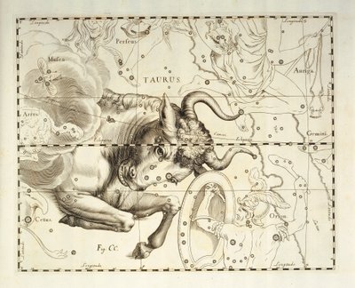 Bika, Bika csillagkép, metszet a Firmamentum Sobiescianum sive Uronographia égi atlaszból, Johann Hevelius (1611-1687), Gdansk alkotó: Johannes Hevelius