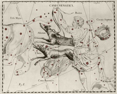 A Canes Venatici csillagkép, vadászkutyák. Johannes Hevelius vagy Hevel (1611-1687) „Firmamentum Sobiescanum sive Uranographia” című táblája alkotó: Johannes Hevelius