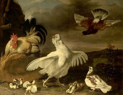 Kakas és tyúk csirkékkel és galambokkal alkotó: Johannes Spruyt