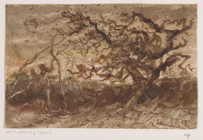 Fa naplementekor alkotó: Johannes Tavenraat (signed by artist)