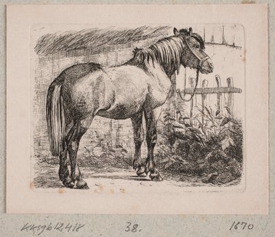 Egy ló kötőfékben alkotó: Johannes Wilhelm Zillen