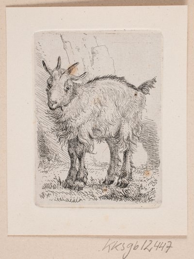 Egy kölyök kecske alkotó: Johannes Wilhelm Zillen