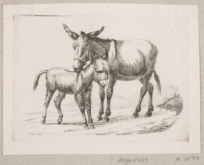 Egy szamár a csikójával alkotó: Johannes Wilhelm Zillen