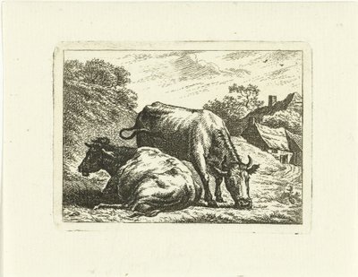 Két tehén az út mentén a farmon alkotó: Johannes van Cuylenburgh