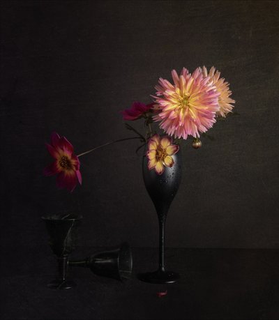 Moody Dahlia csendélet alkotó: John-Mei Zhong