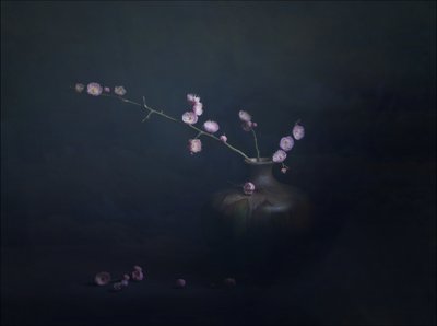 Szilvavirágos csendélet alkotó: John-Mei Zhong