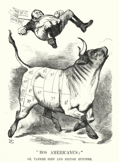 Punch rajzfilm: Bos Americanus; vagy, Yankee Beef és British Butcher – várható előnyök az amerikai húsimport fogyasztói számára (gravírozás) alkotó: John (after) Tenniel