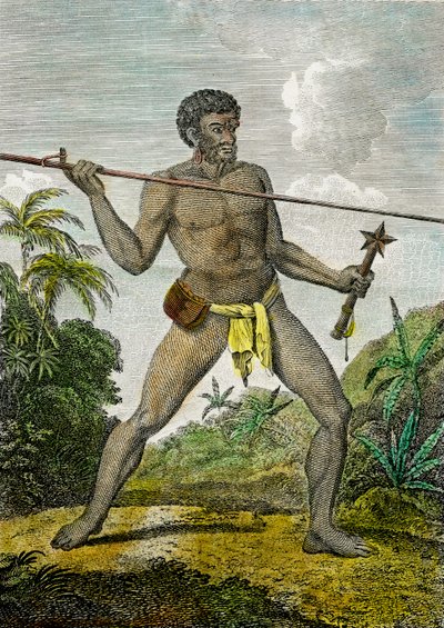 Egy lándzsát dobó új-kaledóniai férfi ábrázolása. Másik kezében bunkósbotot tart, 1800 körül (metszet). alkotó: John (after) Webber