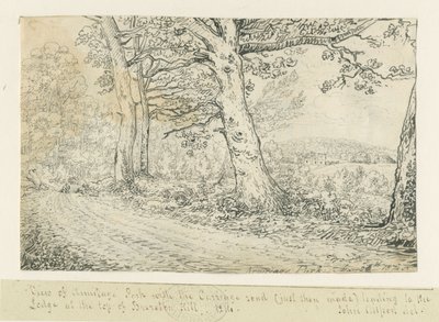 Armitage Park: tollrajz, 1814 alkotó: John Allport