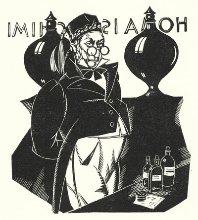 Illusztráció: Madame Bovary, Gustave Flaubert (litho) alkotó: John Austen