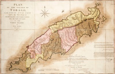 Tobago terve alkotó: John Bayly