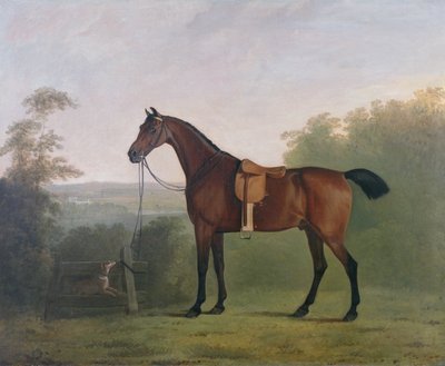 Egy Bay Hunter egy tájban alkotó: John Boultbee
