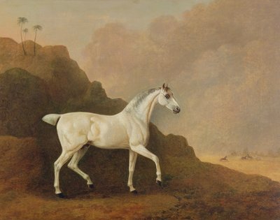 Egy szürke arab mén a sivatagi tájon alkotó: John Boultbee