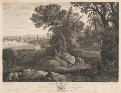 Afrika alkotó: John Browne