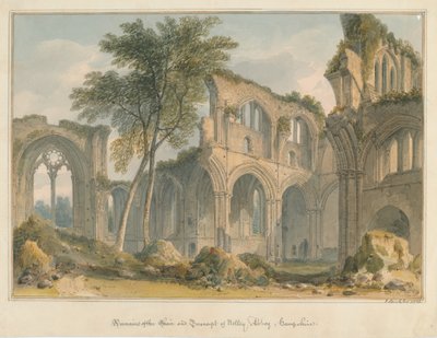 Hampshire - Netley Abbey - Maradványok, 1823 alkotó: John Buckler