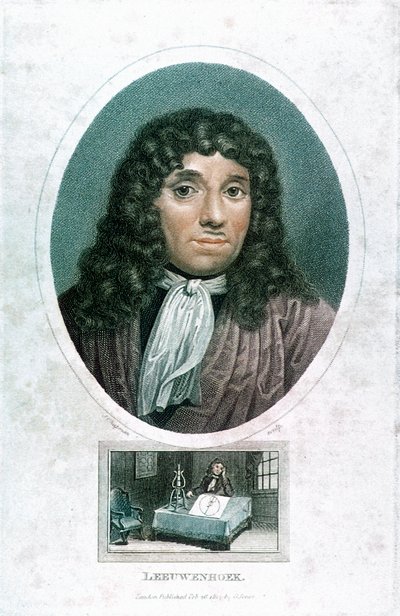 Anton van Leeuwenhoek 1632-1723, holland mikroszkopikus, 1810 alkotó: John Chapman