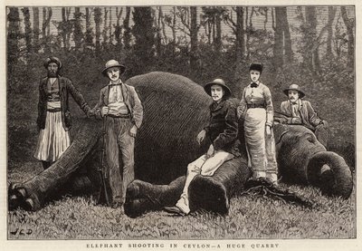 Elefántlövés Ceylonban, egy hatalmas kőbányában alkotó: John Charles Dollman