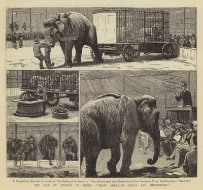 A Myers Nagy Amerikai Cirkusz és Hippodrom árverésen történő eladása alkotó: John Charles Dollman