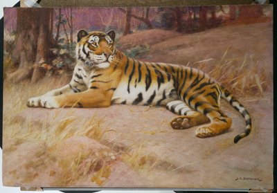 A tigris alkotó: John Charles Dollman