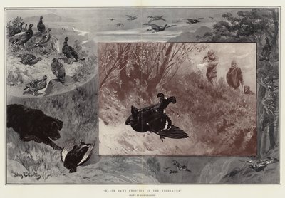 Black Game Shooting in the Highlands alkotó: John Charlton