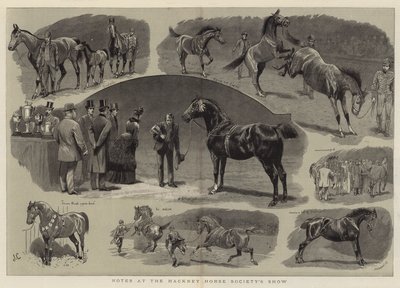 Megjegyzések a Hackney Horse Society kiállításán alkotó: John Charlton
