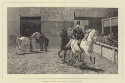 A Horse Show a mezőgazdasági csarnokban, az arabok a ringben alkotó: John Charlton