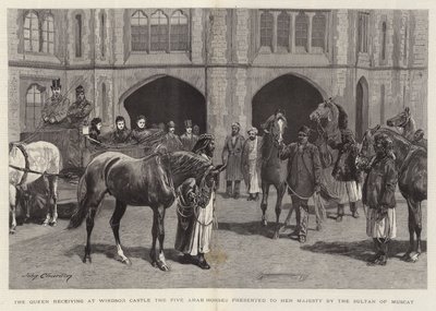 A királynő a windsori kastélyban átveszi az öt arab lovat, amelyet Muscat szultána ajándékozott Őfelségének alkotó: John Charlton