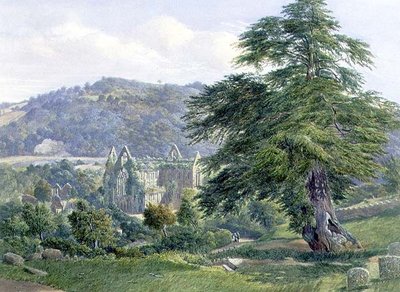 Tintern Abbey a Wye túlpartjával (akvarell) alkotó: John Chase