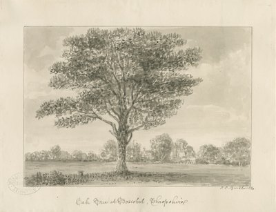 Boscobel – A királyi tölgy: szépia rajz, 1820 alkotó: John Chessell Buckler
