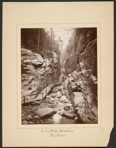 A Fehér-hegységben/The Flume alkotó: John Coates Browne