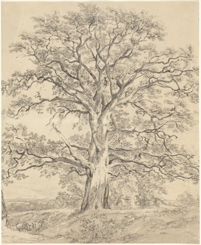Egy nagy tölgyfa alkotó: John Constable