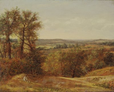 Dedham Vale alkotó: John Constable