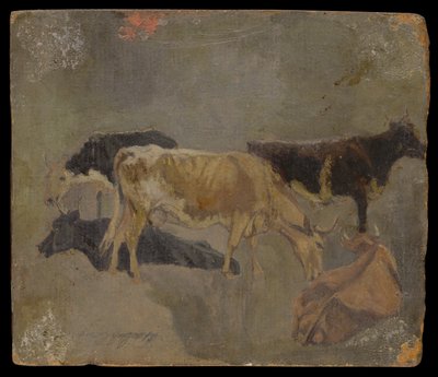 Vizsgálat ötszarvú szarvasmarháról (verso) (olaj malomdeszkán) alkotó: John Constable
