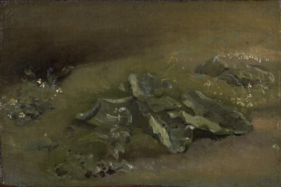 Tanulmány egy bojtorjánról, 1810-14 vagy 1828 körül alkotó: John Constable