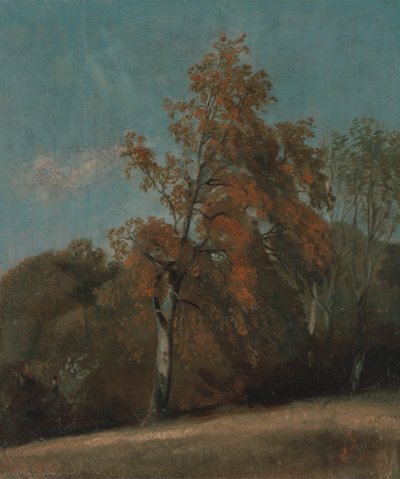 Tanulmány egy kőrisfáról alkotó: John Constable