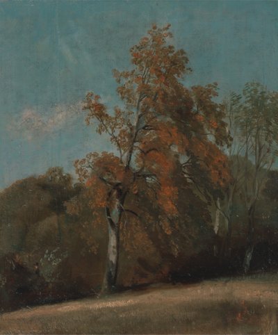 Egy kőrisfa tanulmányozása 1801 és 1803 között vagy 1810 és 1830 között. alkotó: John Constable
