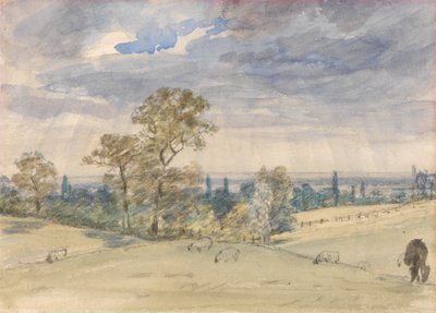 Suffolk táj alkotó: John Constable