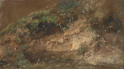 Undergrowth alkotó: John Constable