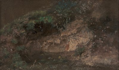 Aljnövényzet, kb. 1821. alkotó: John Constable