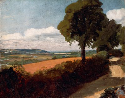 Kilátás az East Bergholtba vezető útról alkotó: John Constable