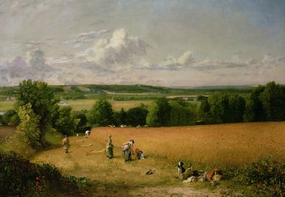 Búzamező alkotó: John Constable