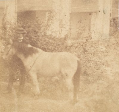 [Man and Horse, Government House, Allahabad], 1858. alkotó: John Constantine Stanley