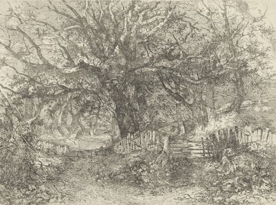 Road Scene, Trowse Hall, 1813 alkotó: John Crome