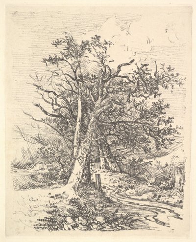 Fatörzsek és sáv, 1811-13. alkotó: John Crome