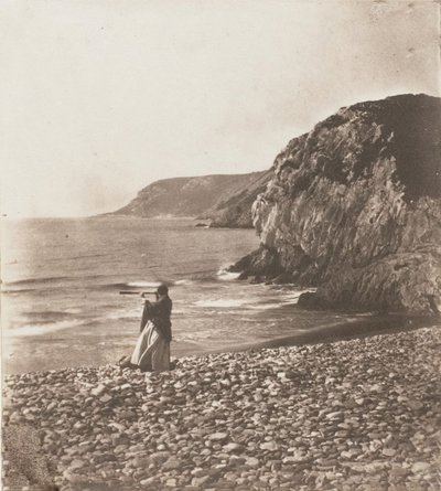 Szelek és hullámok, 1853-56. alkotó: John Dillwyn Llewelyn