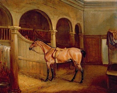Lord Villiers Roan Hackje a Middleton Park istállójában alkotó: John E. Ferneley