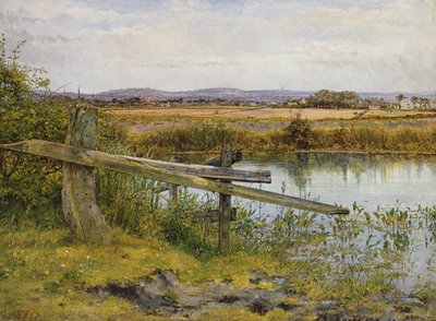 Útszéli, 1862 alkotó: John Edward Newton